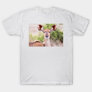 Female Kudu Portrait - Krüger National Park T-Shirt